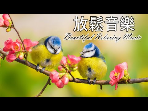 早上最適合聽的輕音樂 - 超好听的钢琴曲 - 放鬆解壓 - 純鋼琴輕音樂 - 鋼琴曲 輕音樂 - 絕美的靜心放鬆音樂 - 放鬆音樂 Relaxing Chinese Piano Music