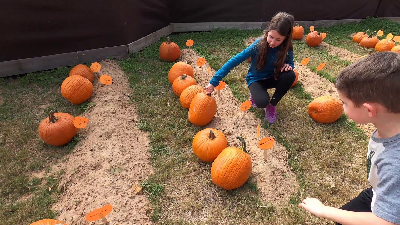 Splashway Campground Halloween YouTube