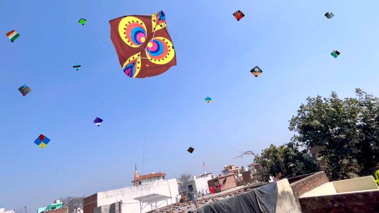 Kite looting / kites catching on roof top /3 kites😱😱#@prakashSaini5555-y7p