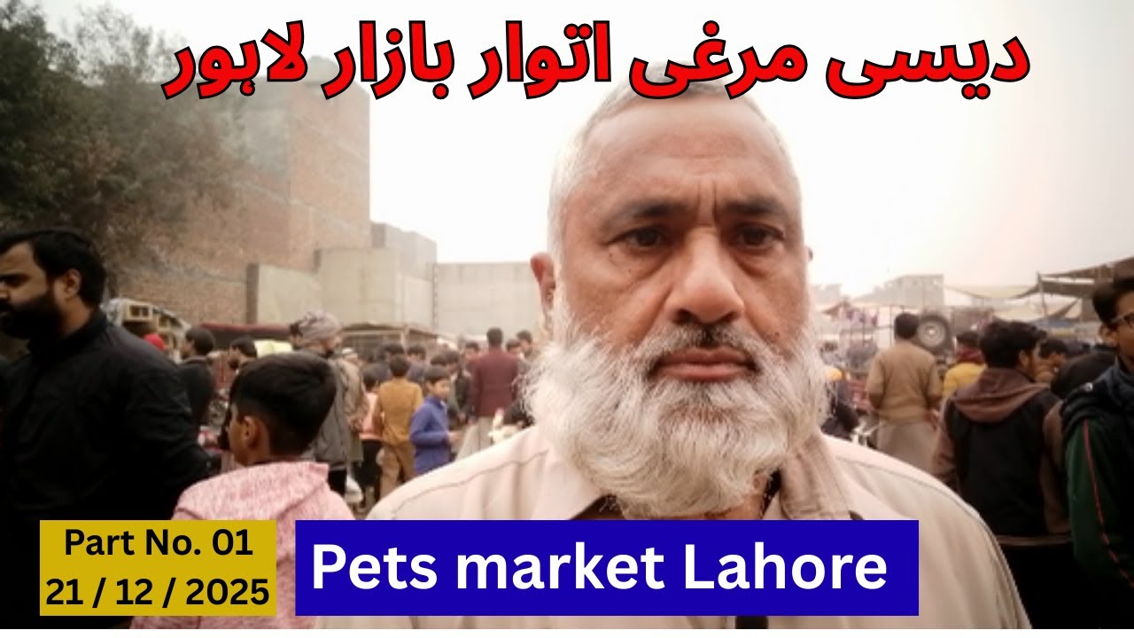 Sunday Pets Market Lahore | Desi Murgi Bazar Lahore | Uncle Pets Vlogs