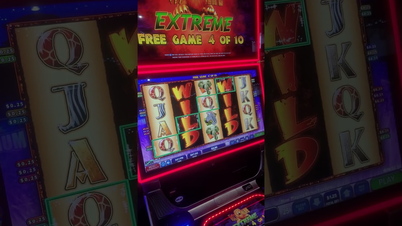 Wildlife Slot Bonus Amazing Start! 