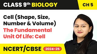 Cell: Shape, Size, Number, and Volume | Class 9 Biology Chapter 5 | CBSE 2024-25