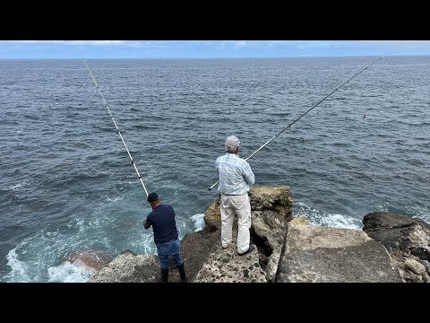 Lomba da Fazenda! Galão e a Bonequinha da Vila Franca do Campo São Miguel Açores!!!