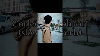 CORLEONE-Mohpari (slowed-reverb)