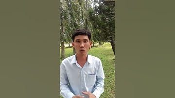 Hoài sơn (củ mài), vị thuốc chữa bệnh