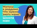 Малыш в роддоме. Что нужно знать маме? / Лина Павловна Хан