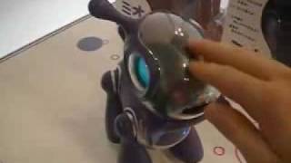 Sega Toys Mio robotic dog: Tokyo Toy Show 2007 screenshot 5