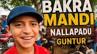 Guntur Bakra Mandi Tour | Nallapadu Market Crowd & Fun#viral#trending #youtube shorts#funny#short