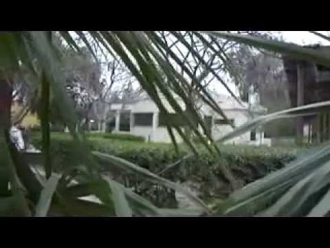 تامر عاشور هقدر أروع أغنية ممكن تسمعها في حياتك