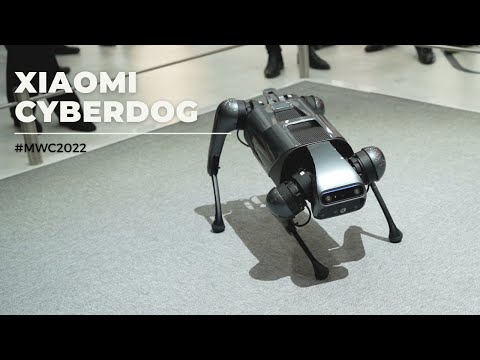 #MWC 2022 - Xiaomi Cyberdog: Câinele robot care ți-ar putea ajuta bunica să-și care cumpărăturile