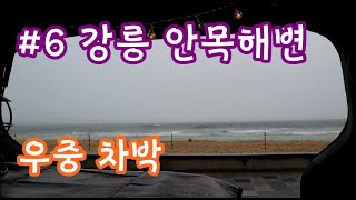 레이차박 우중캠핑 강릉 안목해변 감성차박 솔캠