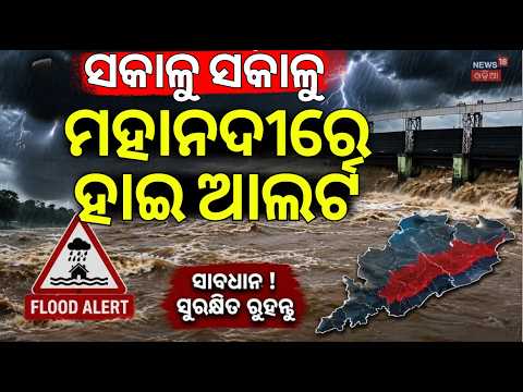 ସକାଳୁ ସକାଳୁ ବନ୍ୟା ବିପଦ ! Odisha Flood News|Mahanadi River Flood Alert |  Cuttack Mundali Flood Water