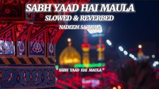 Sab yaad hai maula ❤️ { slowed & reverbed } by nadeem sarwar #molahussain #shorts