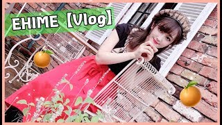 【VLOG】愛媛🍊カフェ・グルメ・観光【第二の地元♡】