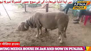 The organic Hills in Collaboration with Ojas Aerospace & Tabernacle Software screenshot 5