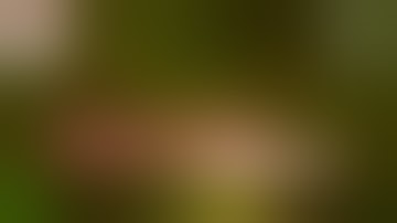 Removal of an Intraocular Foreign Body