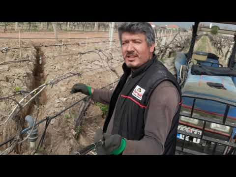 Video: Hortum önlüğünü bir sulama sistemine nasıl bağlarsınız?