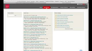 Blackboard Journal Entry
