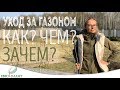 Уход за газоном. Как, зачем и чем?