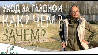 Уход за газоном. Как, зачем и чем?