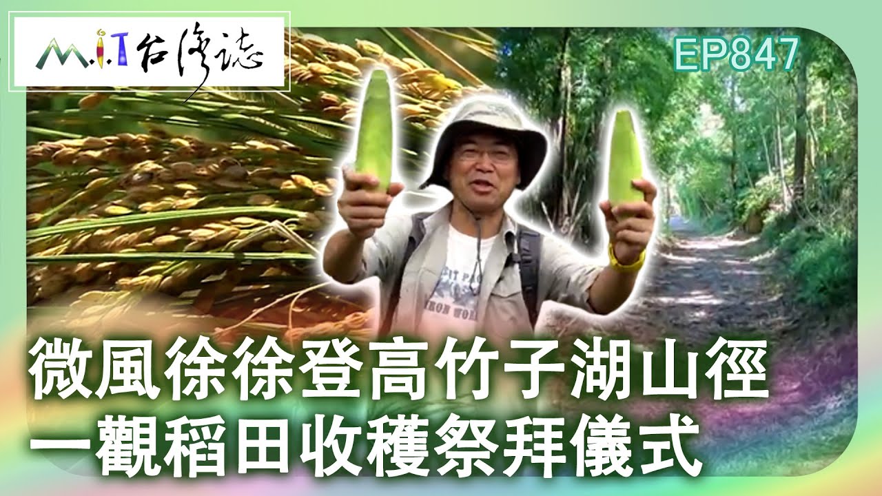 微風徐徐登高竹子湖山徑 一觀稻田收穫祭拜儀式｜臺北市北投區 麥覺明【@ctvmit847集】