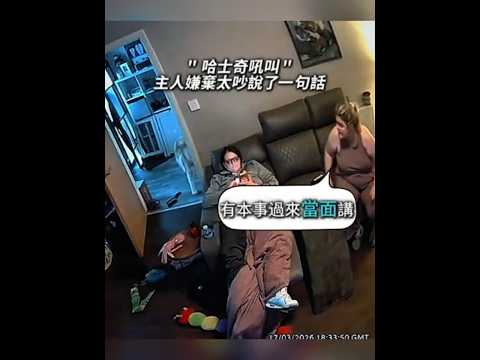 好嗆的二哈😐 thumbnail