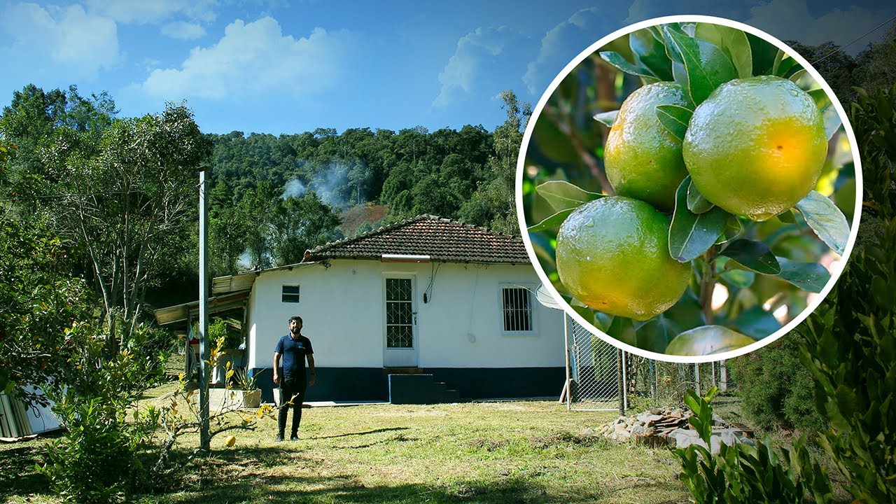 BAIXOU!! R$ 195. LINDA CHÁCARA PRONTA PRA MORAR, TRABALHAR E LUCRAR 5 KM DO CENTRO DE MARMELÓPOLIS