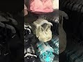 Nike haul #shopping #mumlife #kinder #nike #haul
