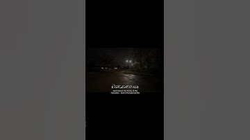 سورة العنكبوت بصوت القارئ ياسر الدوسري #تلاوة_خاشعة #المصحف
