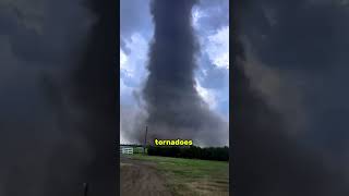 If the sky turns green — run