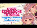 Live2d cubism expressions tutorial  toggles switching textures stickers 2d vtuber model avatar