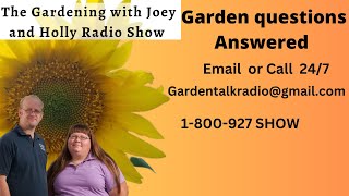 Seg 4 of S8E8 Garden questions answered seeds sale by date, rutabagas,  hardening off plants -Radio