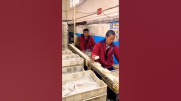 Amazing Packing Operator Skills #shorts #fyp #skills #tiktok #viral #amazing #howto