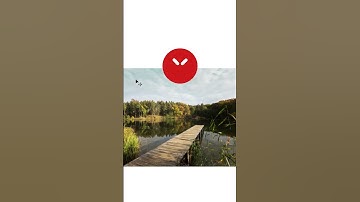 Re-enable transform controls in #photoshop  #tutorial  #designedit  #designer  #photoshoptutorial