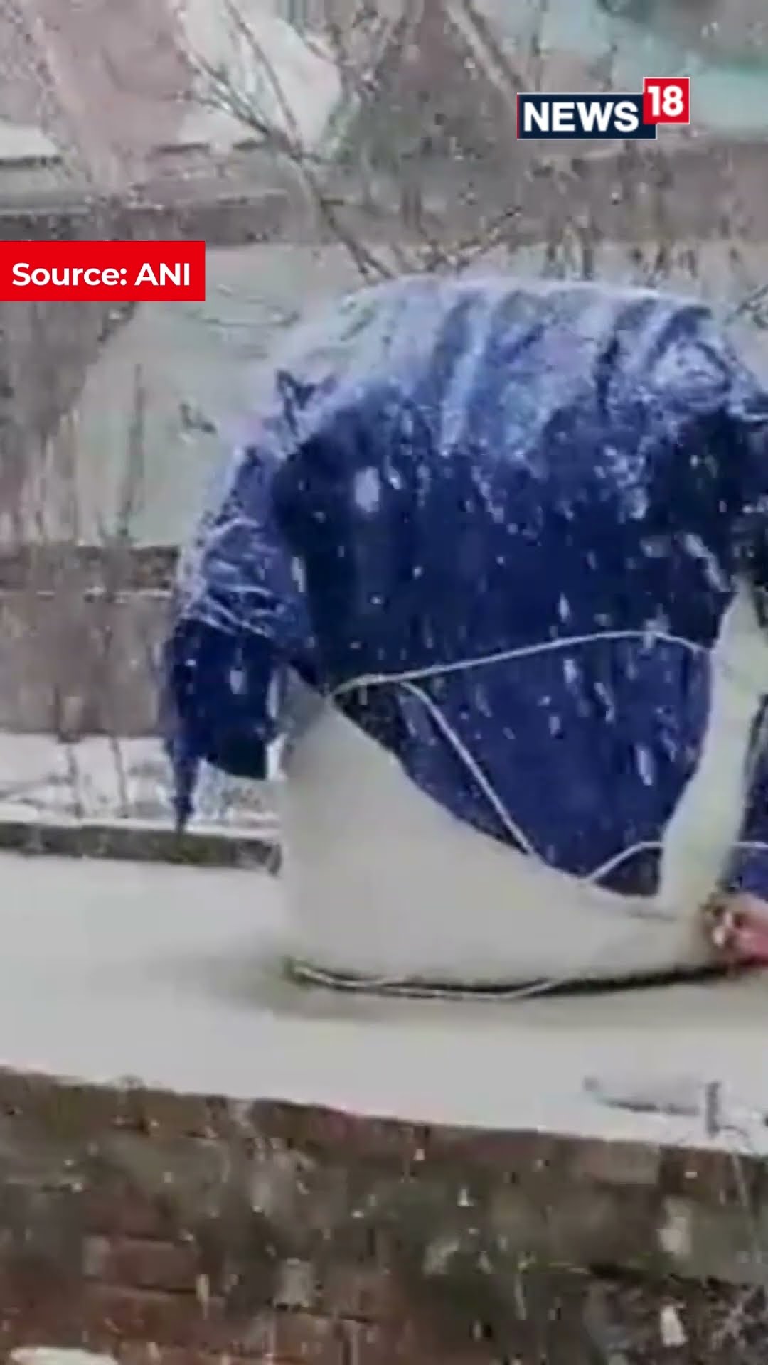 Fresh Snowfall Blankets The Serene Valleys Of Kashmir, Turning Kashmir Into A Winter Wonderland N18S
