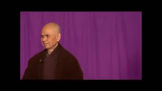 Loneliness and the Illusion of Connection - Thich Nhat Hanh