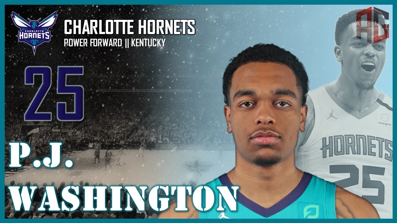 CHARLOTTE HORNETS: P.J. Washington ᴴᴰ