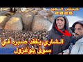 شاري الخرفان يفقد صبره في سوق المواشي اليوم من بوغزول في أسعار كباش العيد 2026