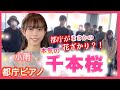 【都庁ピアノ】クラシックの小雨が【千本桜】を本気で弾いて、一足早い花見をお届けします/senbonzakura/streetpiano