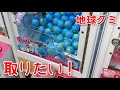 地球グミが欲しいさくーん。【実写】