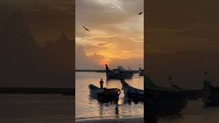 Pure Nature Sounds — your sanctuary of serenity screenshot 4