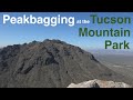 Peakbagging at the Tucson Mountain Park