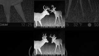 Are You Looking At Me...