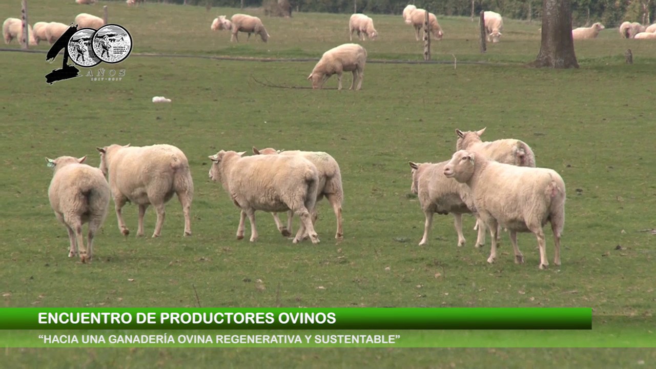 Agricultura Austral ESPECIAL SAGOFISUR 2016