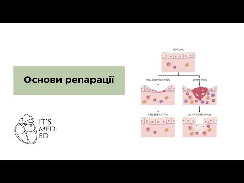 Основи репарації. Патоморфологія. Тести КРОК + STEP1