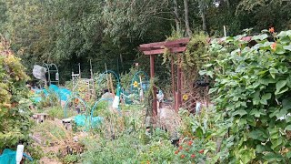 12 Months on the Allotment: The Ultimate Full Year Transformation