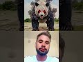 Part 1 bhalu ne keya fogi par Halam  #new #shortvideo #youtubeshorts #shortclip #army