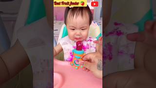 Fruit Feeder Pacifier