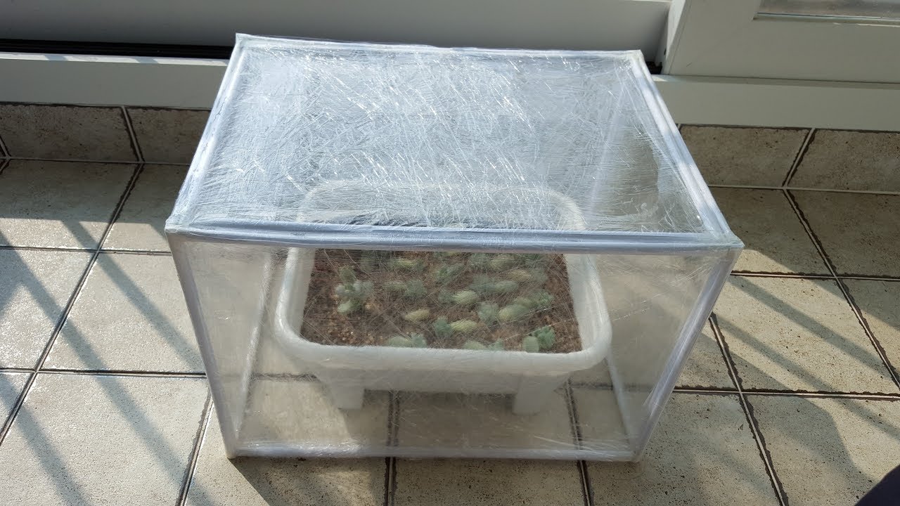 미니 비닐 하우스 베란다 다육이 바람막이 paper 종이 vinyl greenhouse YouTube