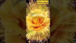 Islamic Status 2023 Allah Hu Akbar Hu Akbar